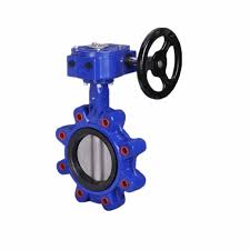Worm Gear Box Lug Butterfly Valve