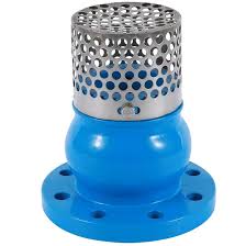 Cast Iron Foot Valve Pn10