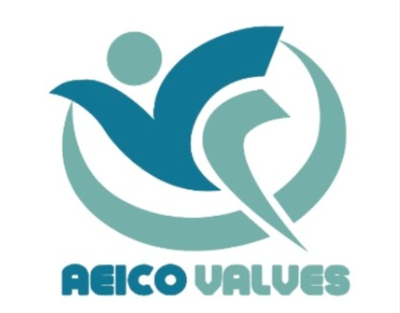 AEICO Valves logo